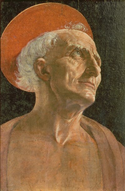 St. Jerome by Antonio Pollaiuolo